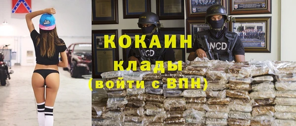 ГАЛЛЮЦИНОГЕННЫЕ ГРИБЫ Алексин