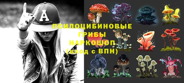 ГАЛЛЮЦИНОГЕННЫЕ ГРИБЫ Алексин