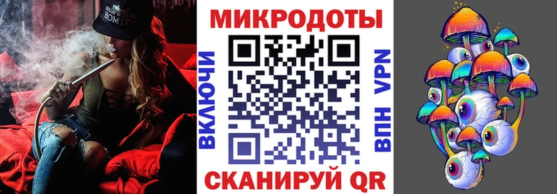 Псилоцибиновые грибы Cubensis  как найти закладки  Курганинск 