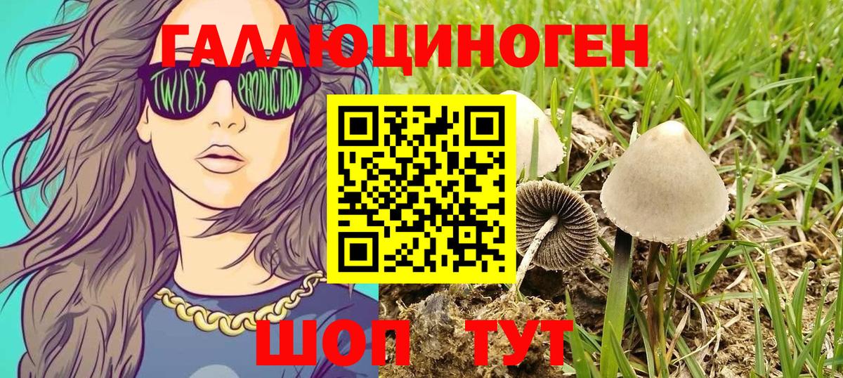 Курганинск  магазин    Вход с VPN  Галлюциногенные грибы мухоморы 